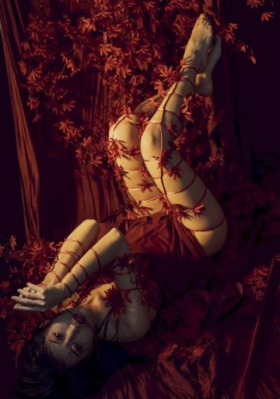 艳色无疆之名器美妇们_BD国语高清完整版